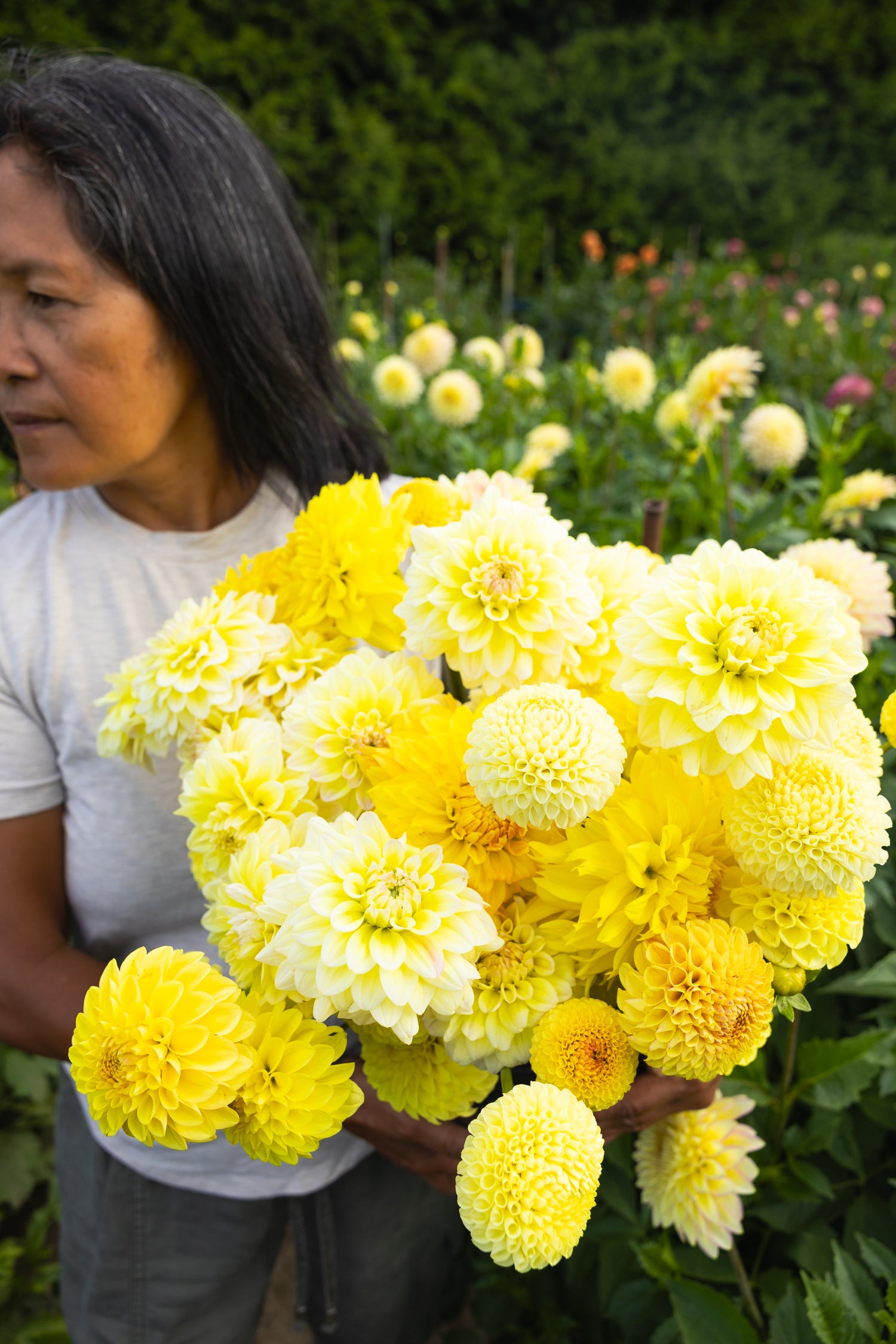 Blooms by the Bucket