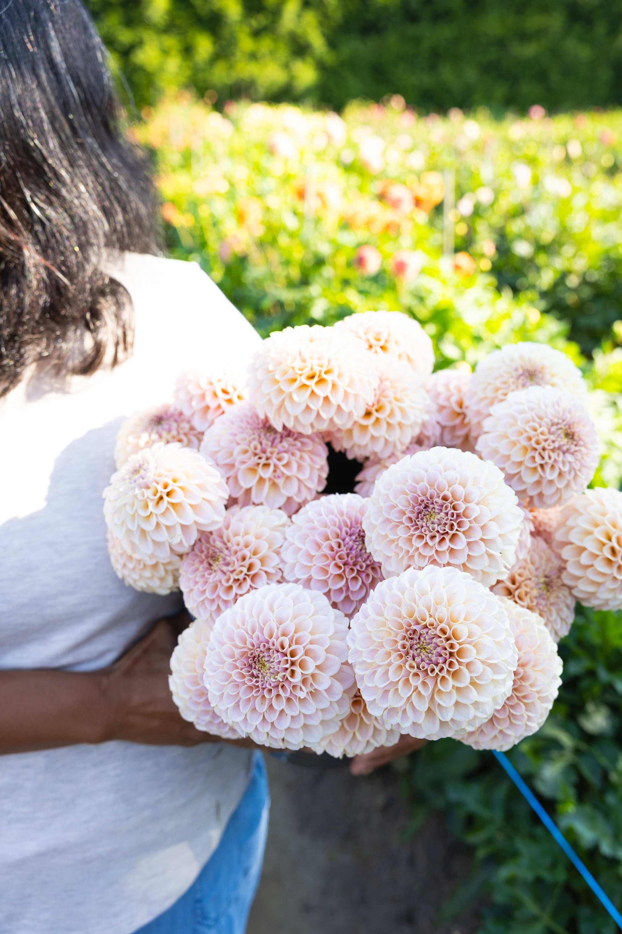 Blooms by the Bucket