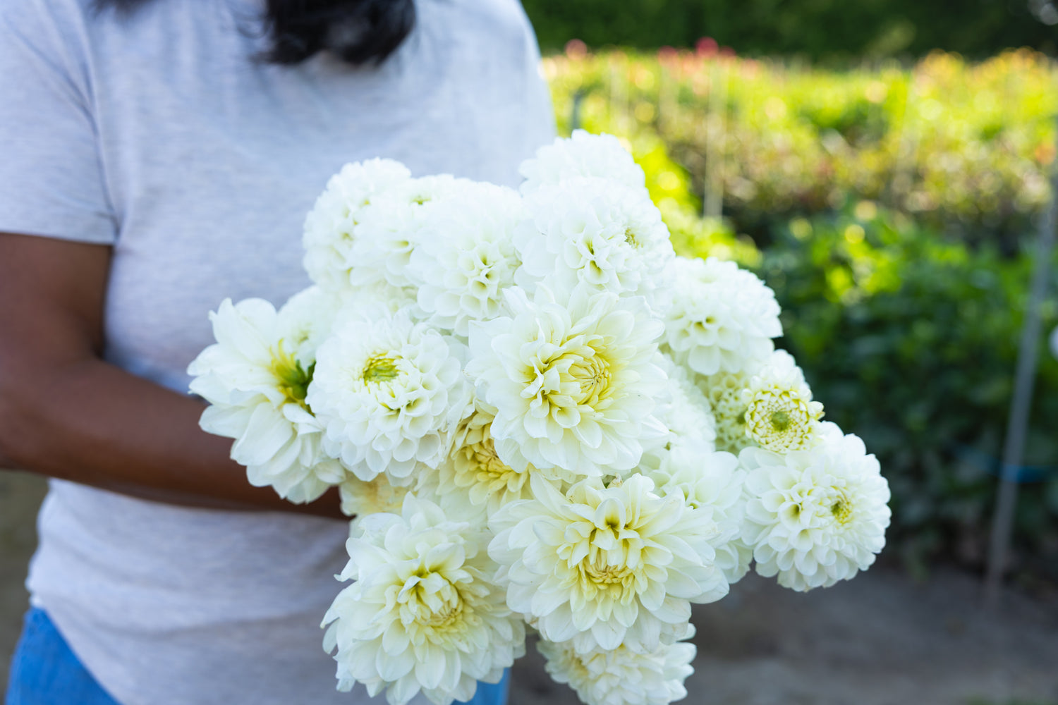 Blooms by the Bucket