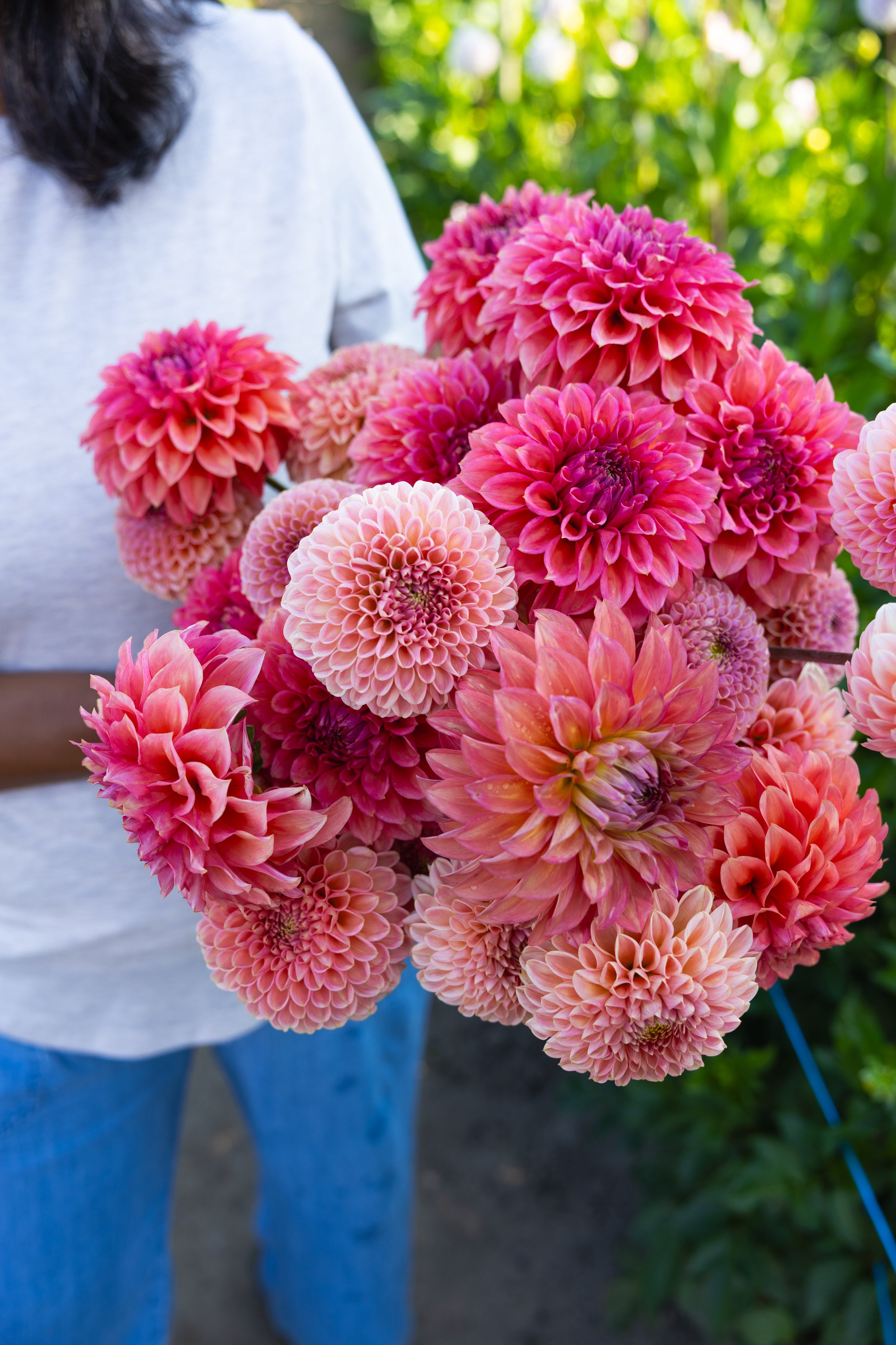 Blooms by the Bucket