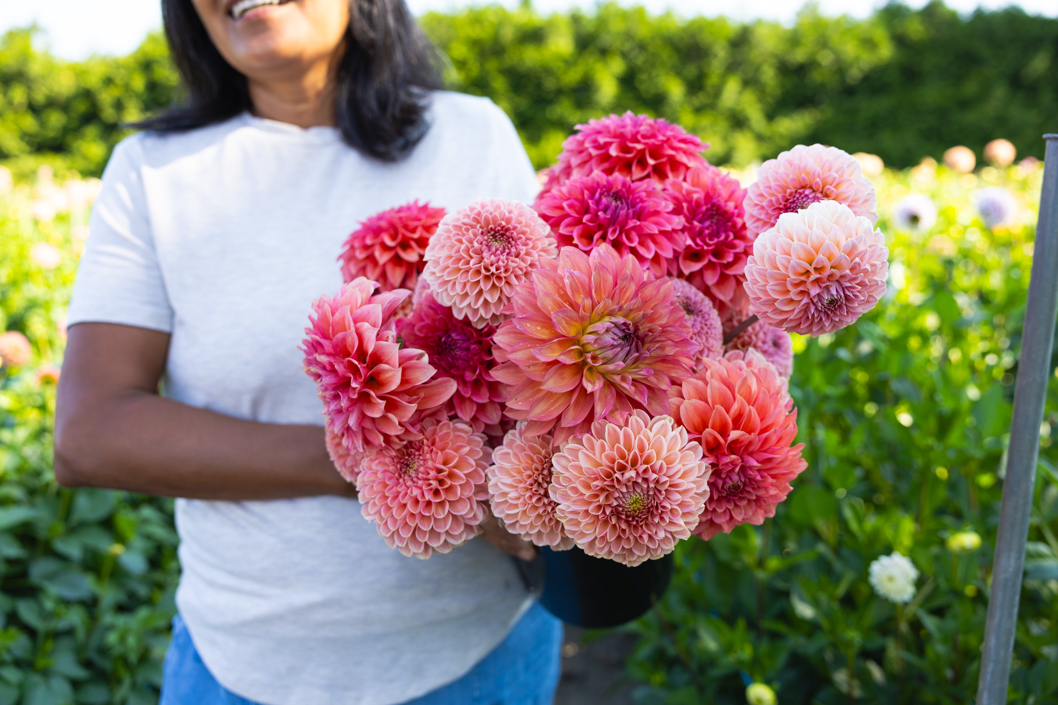 Blooms by the Bucket