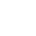 Moore Blooms Dahlias