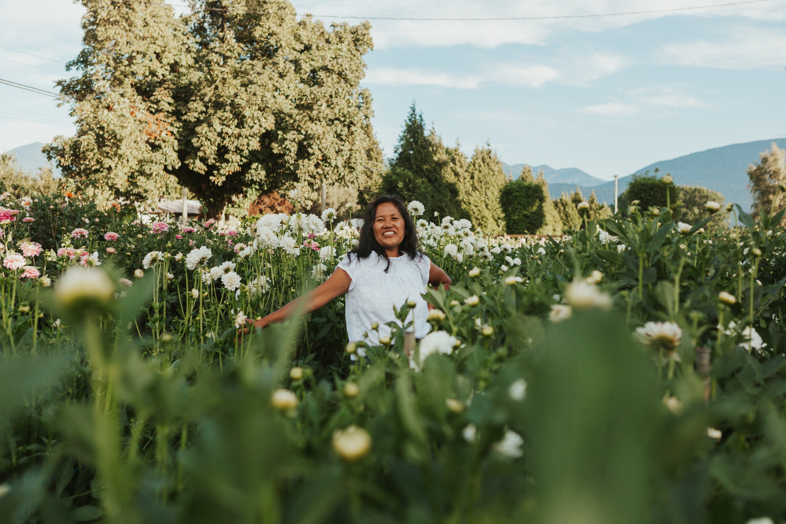 Our Connie Collection