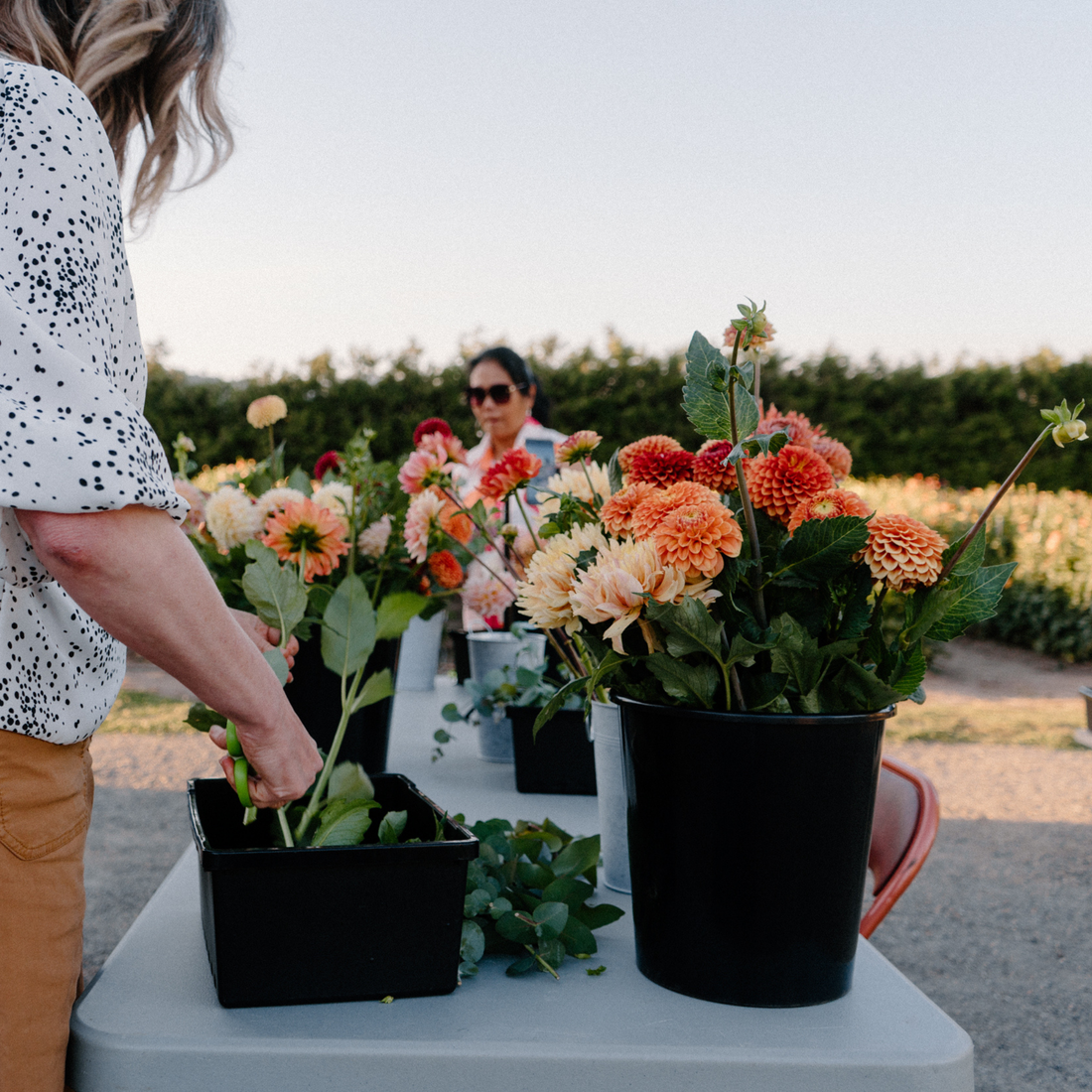 Saturday, August 17th Bouquet Workshop