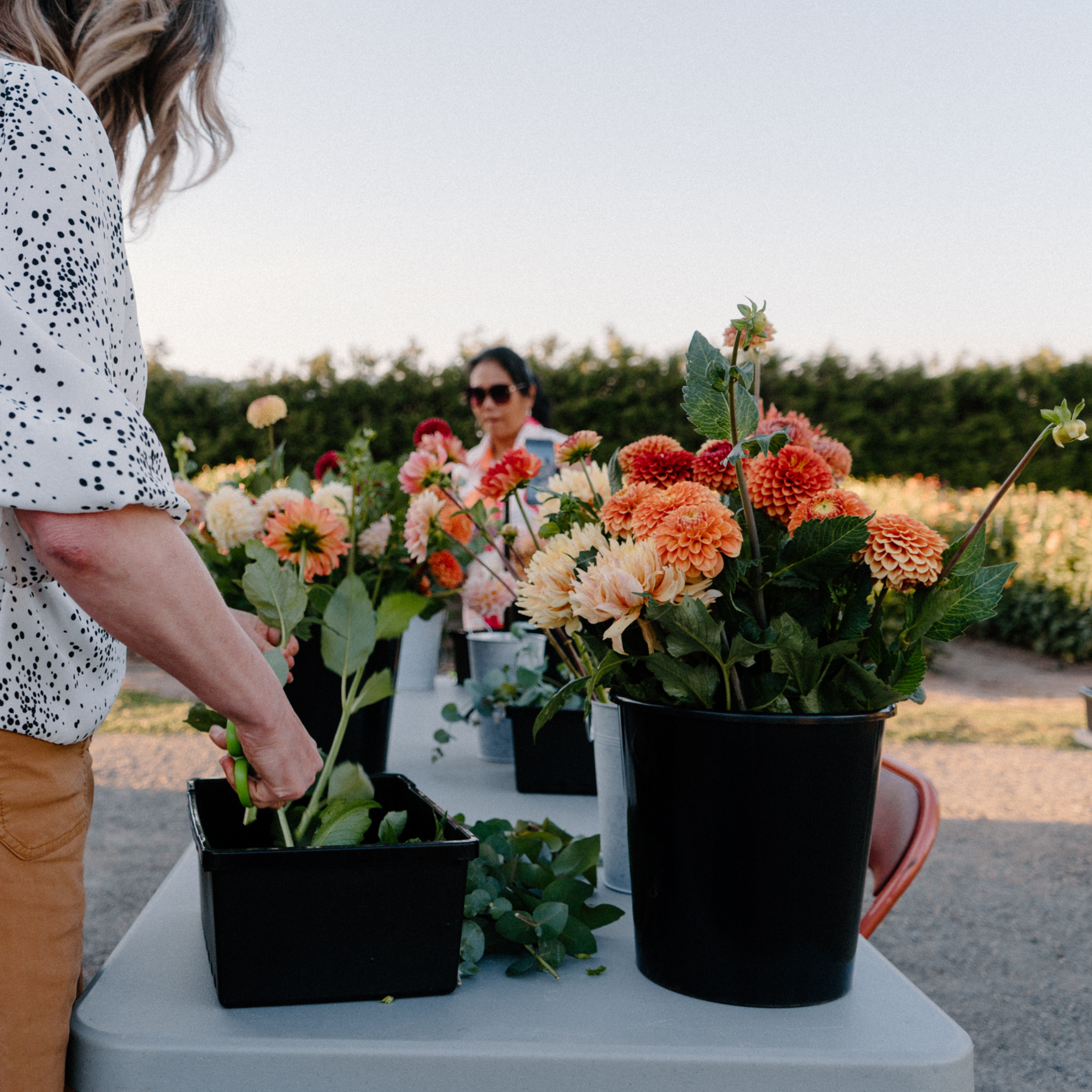 Saturday, August 17th Bouquet Workshop