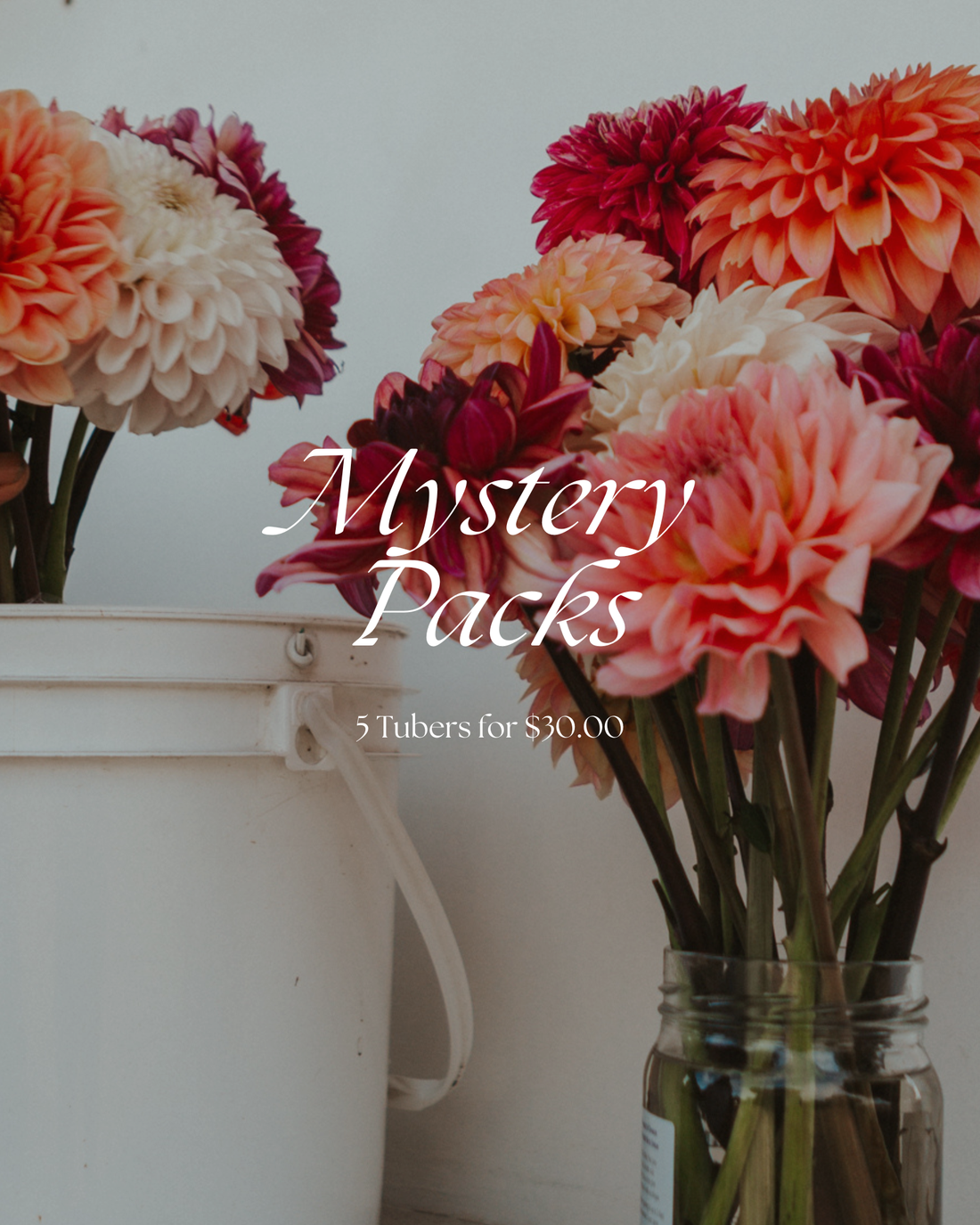 Mystery Pack (5 for $30)