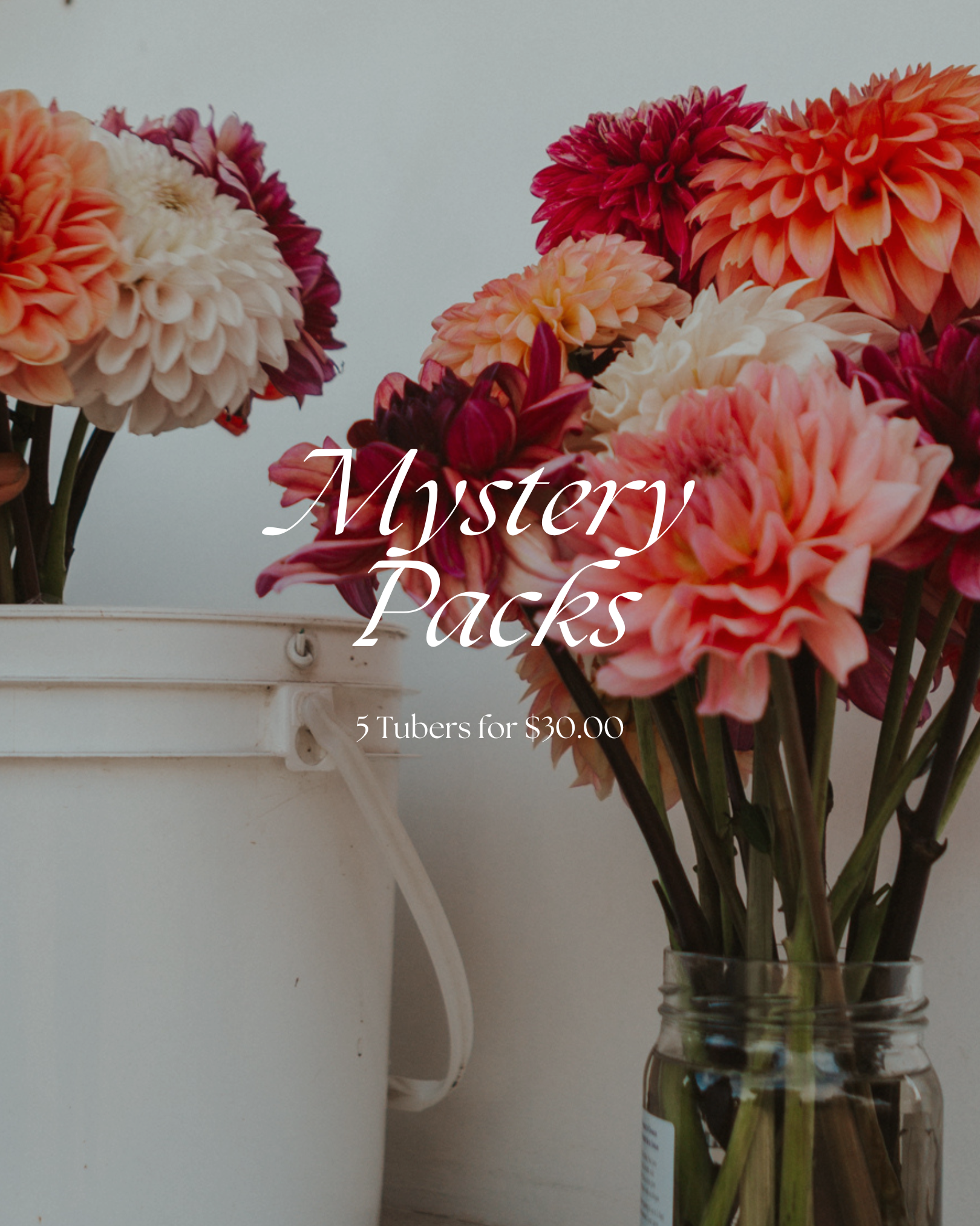 Mystery Pack (5 for $30)