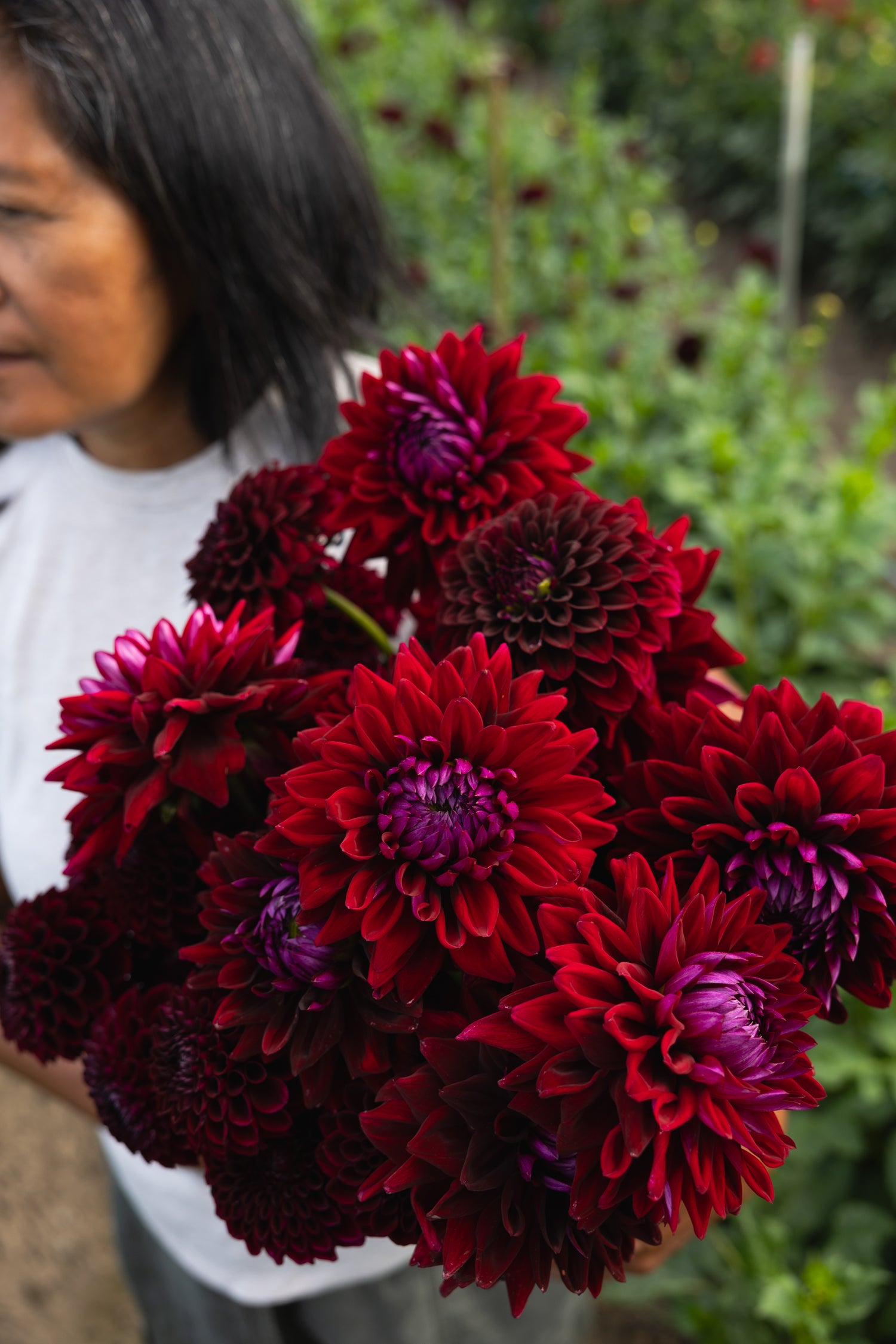 Blooms by the Bucket
