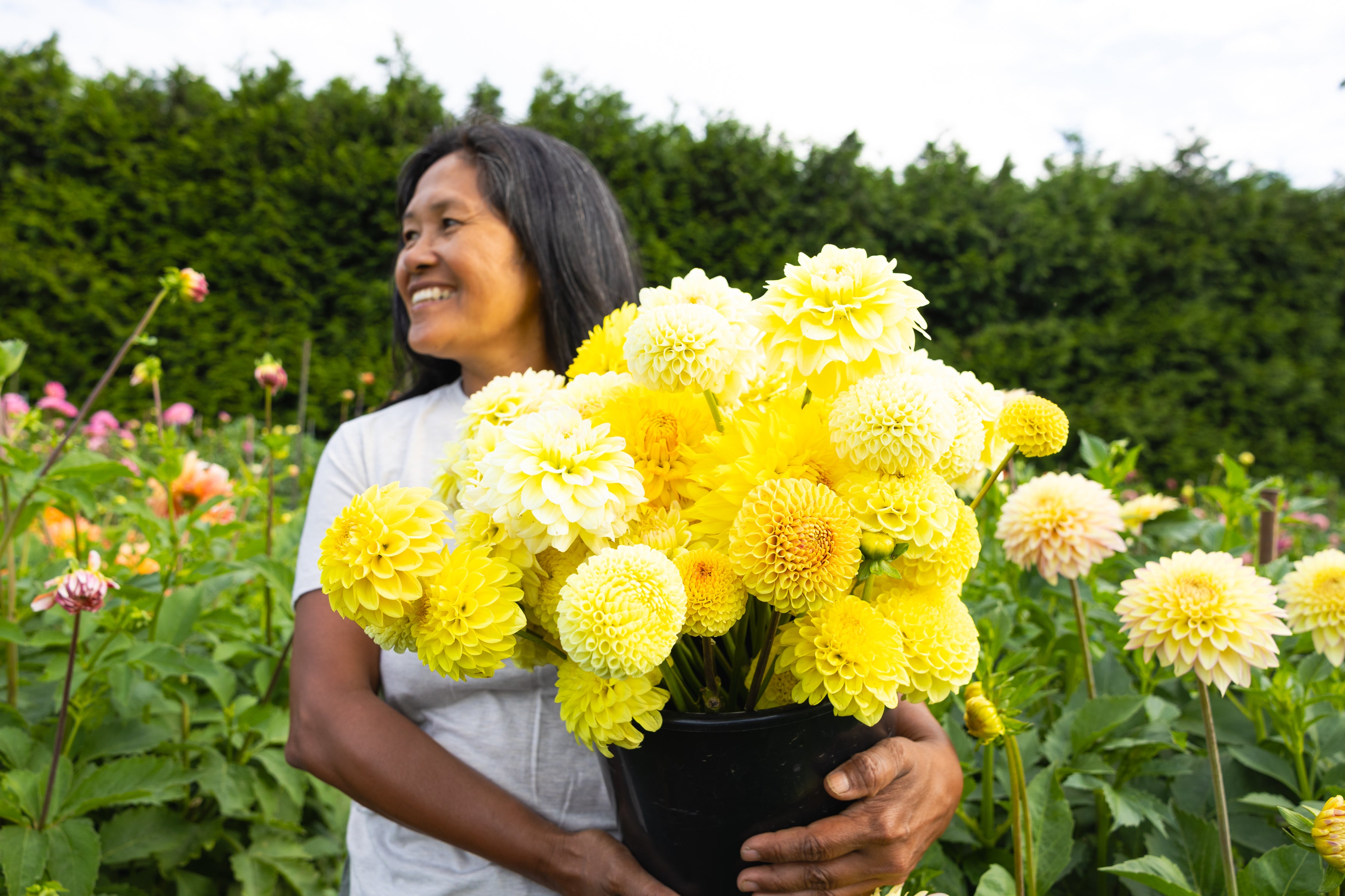 Blooms by the Bucket