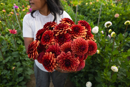 Blooms by the Bucket