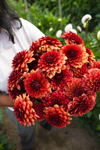 Blooms by the Bucket