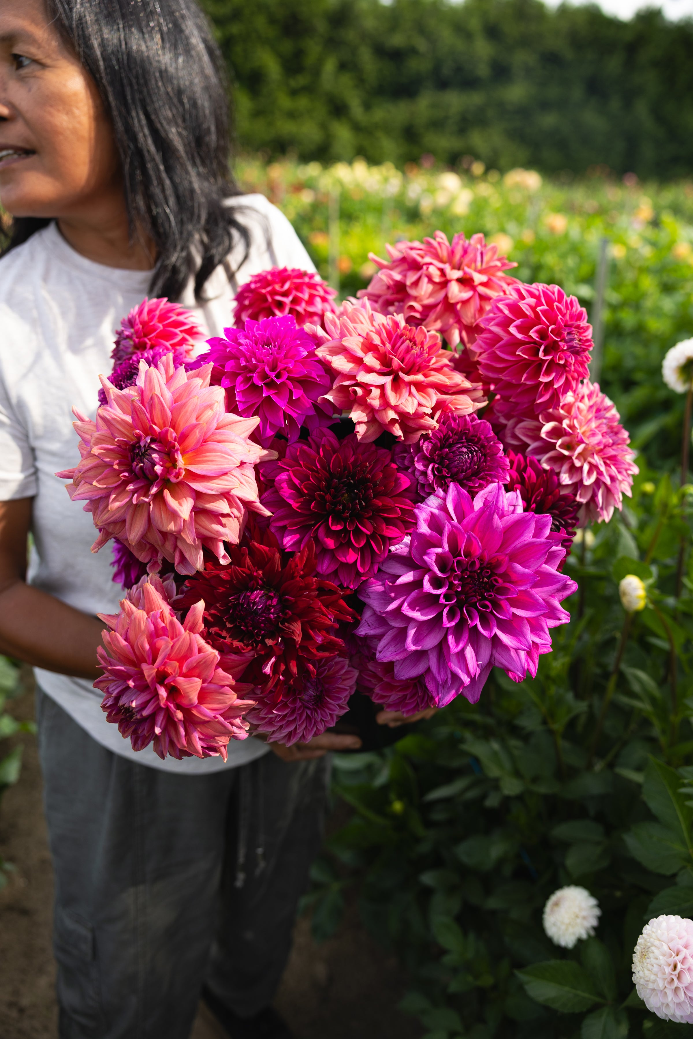 Blooms by the Bucket
