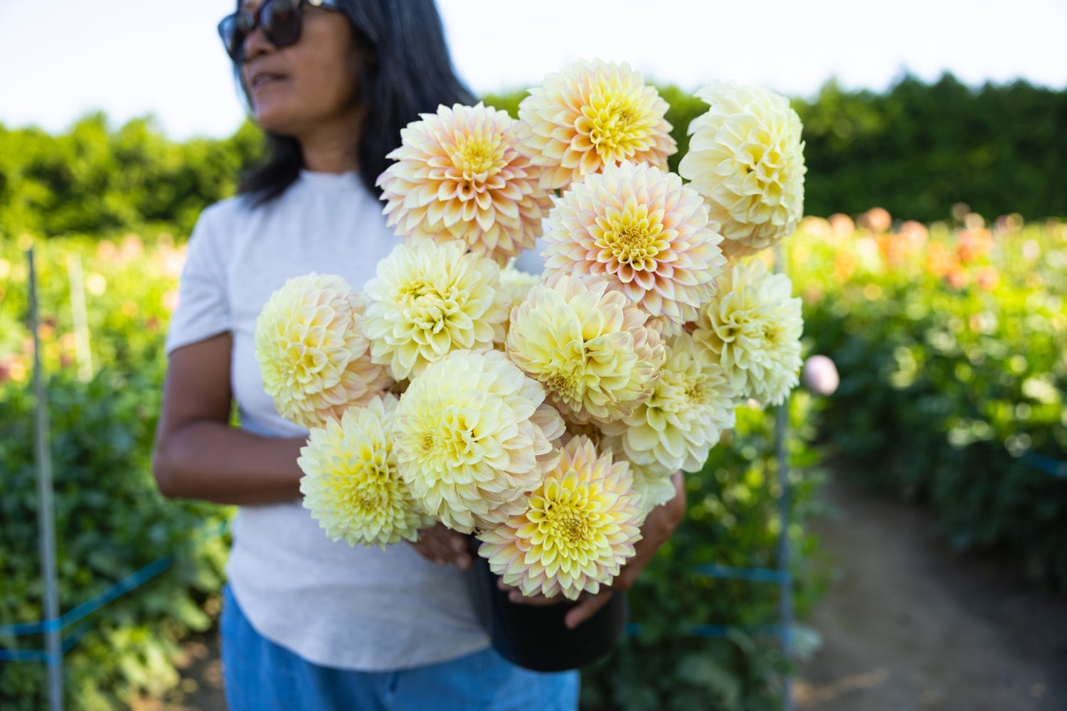 Blooms by the Bucket