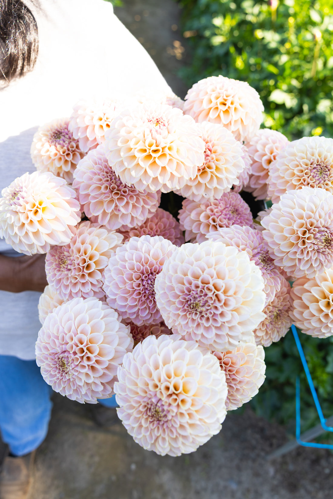 Blooms by the Bucket
