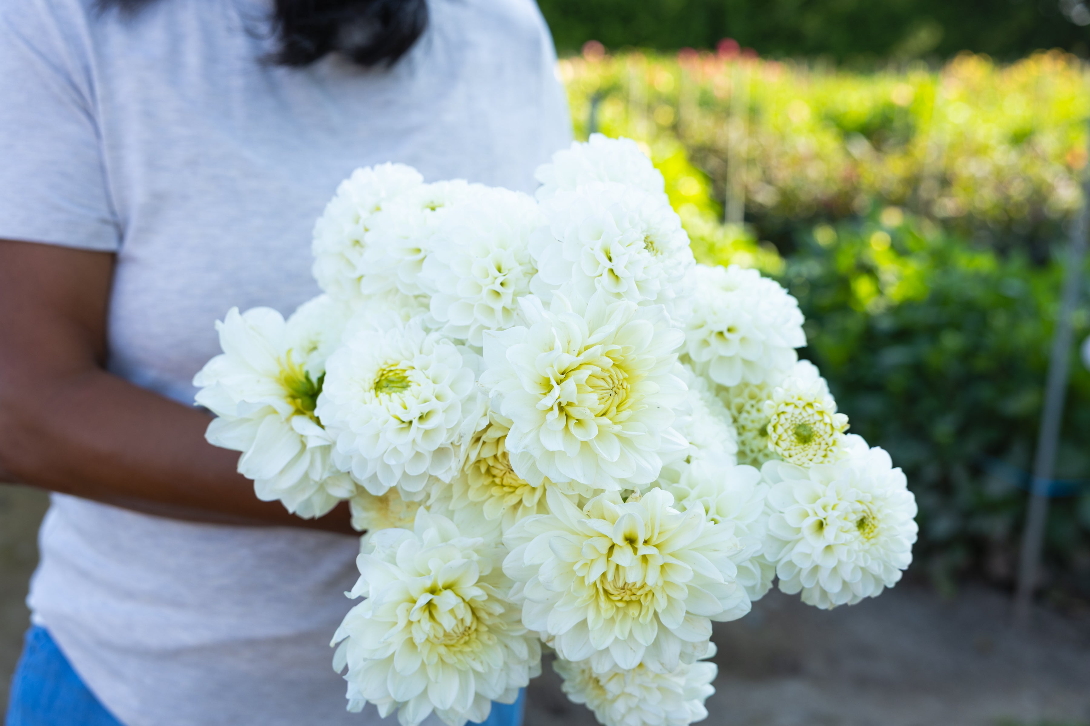 Blooms by the Bucket