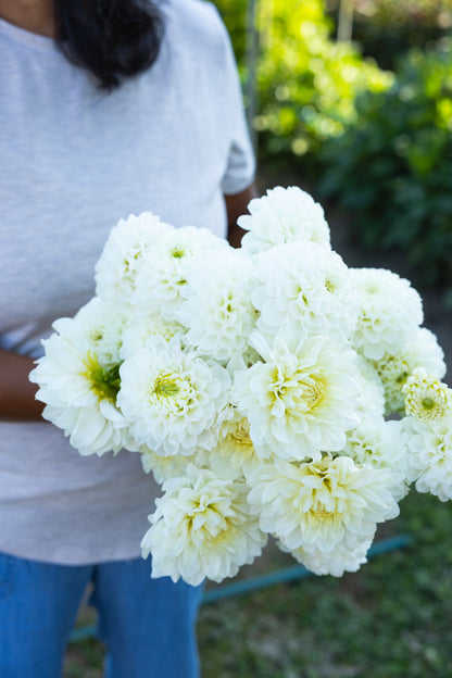 Blooms by the Bucket