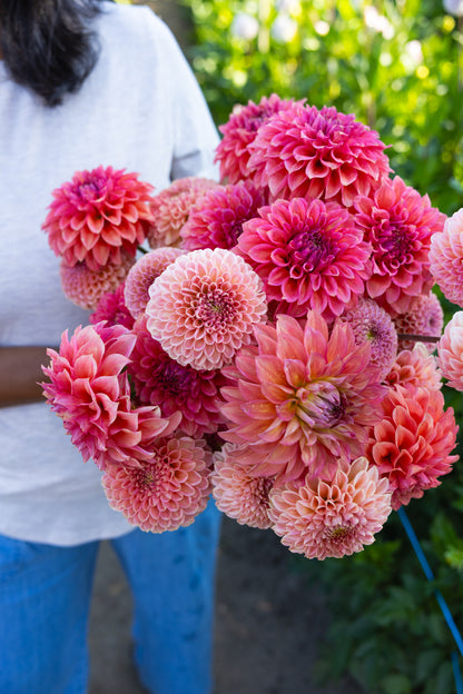 Blooms by the Bucket