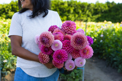 Blooms by the Bucket