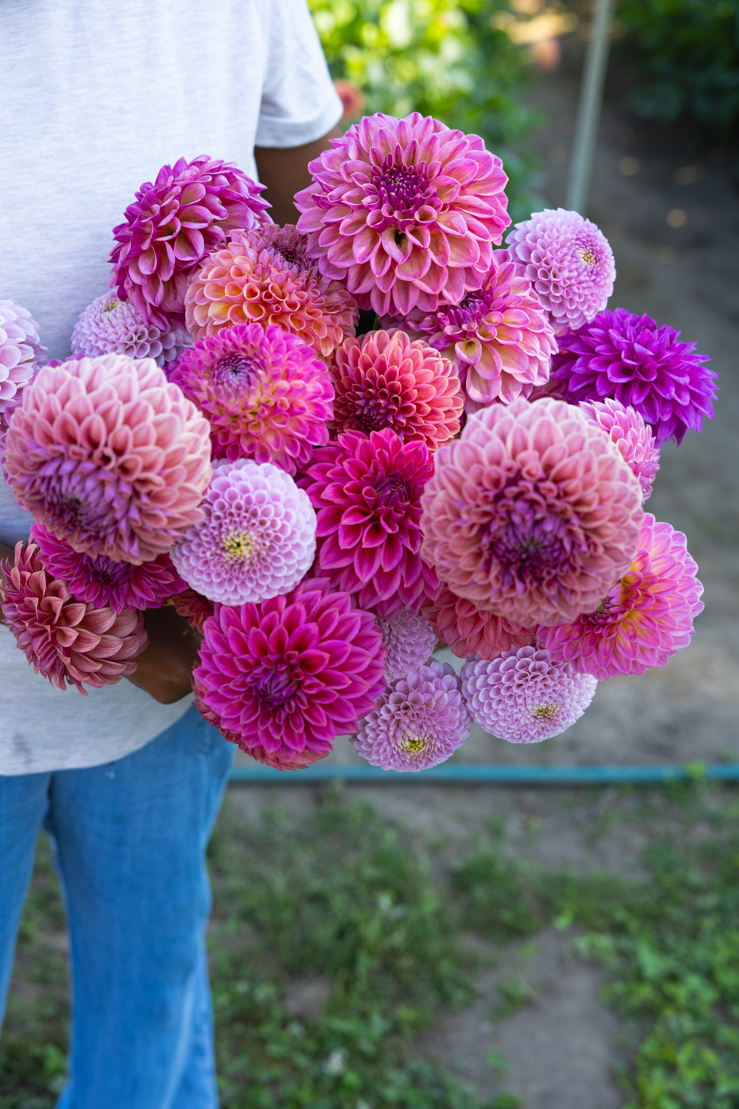 Blooms by the Bucket