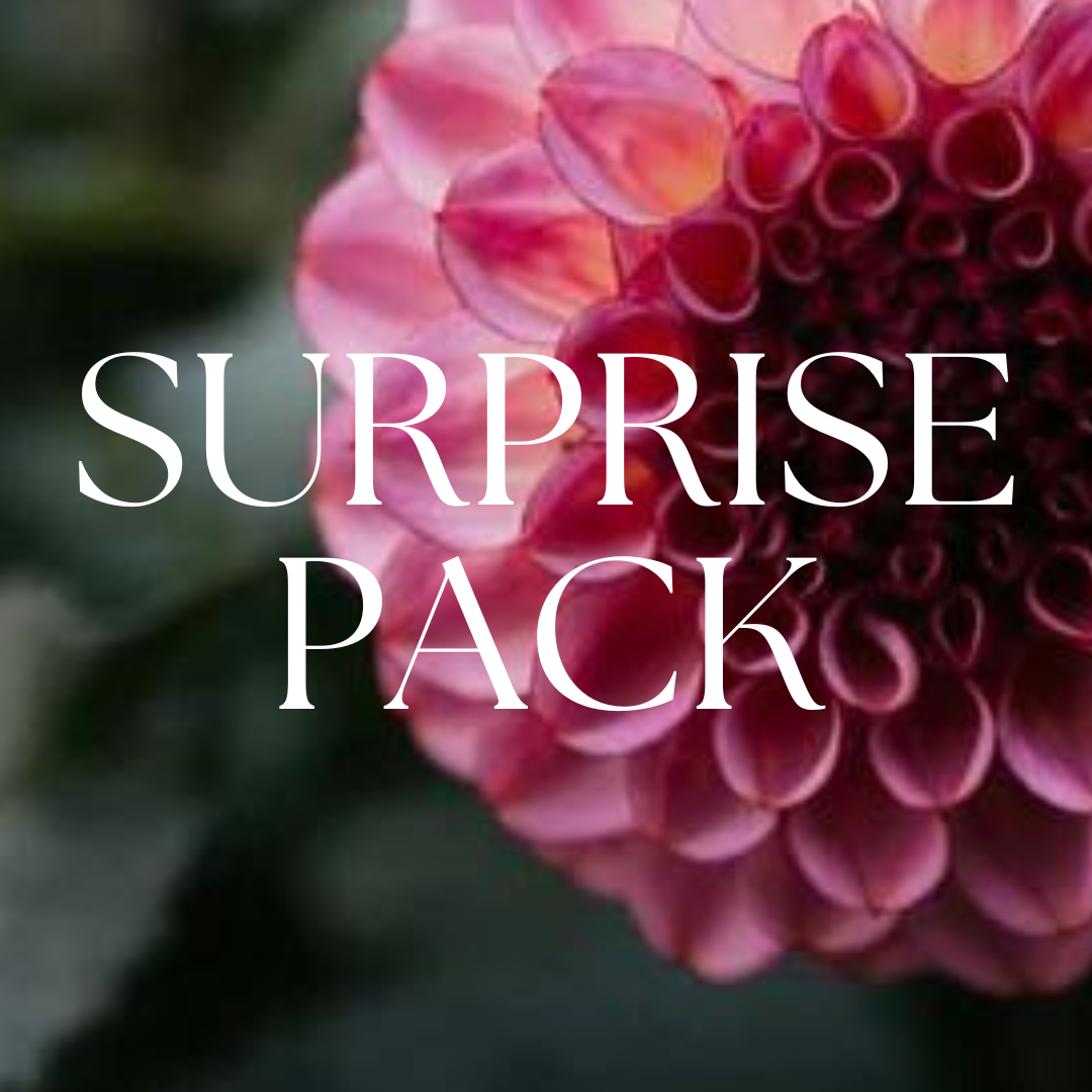 Surprise Pack (5 Tubers)